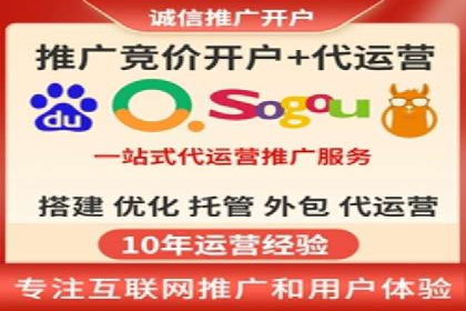 推广竞价策略优化：借鉴经典案例提升效果
